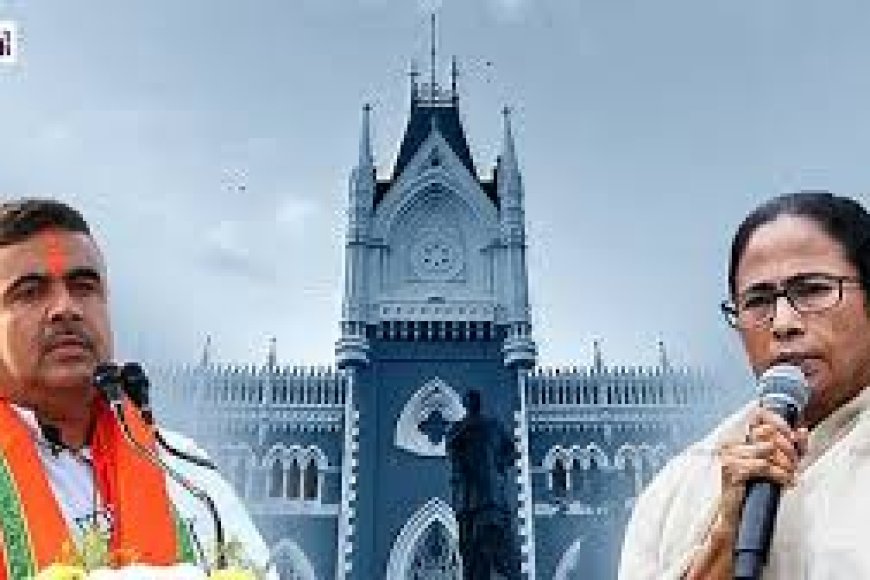 My brother BJP spokesperson, discloses judge in Mamata poll plea