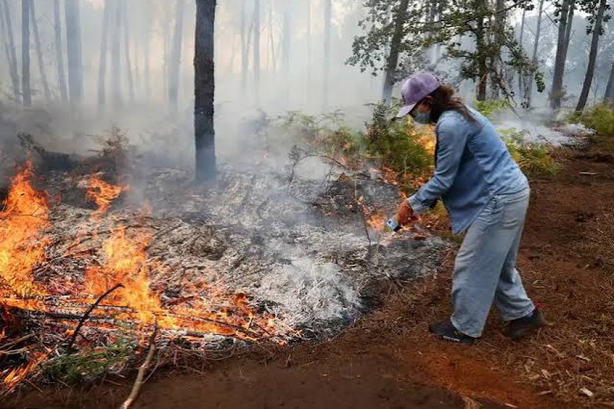 More than 250,000 people flee their homes in France and Spain as wildfires burn