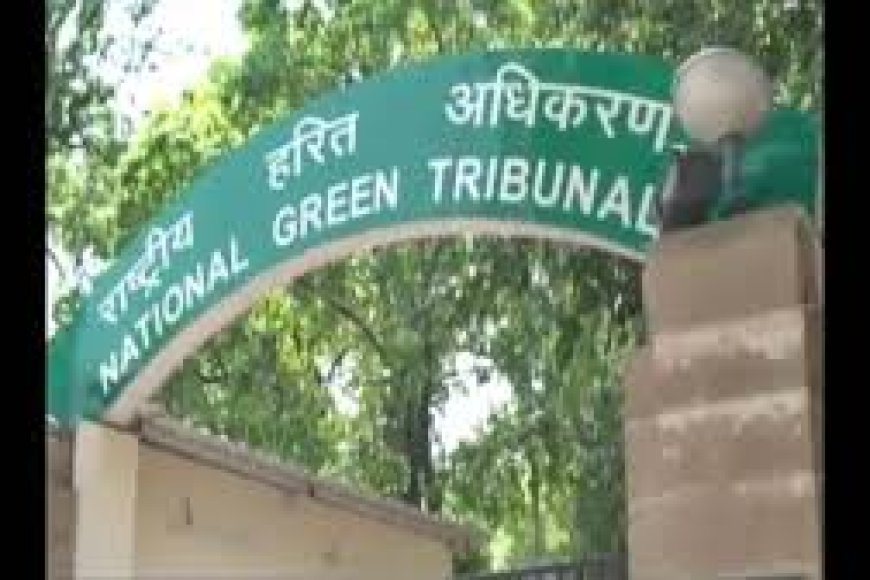 Green Panel Chair's Letter Sparks Storm Over Clearances In Madhya Pradesh