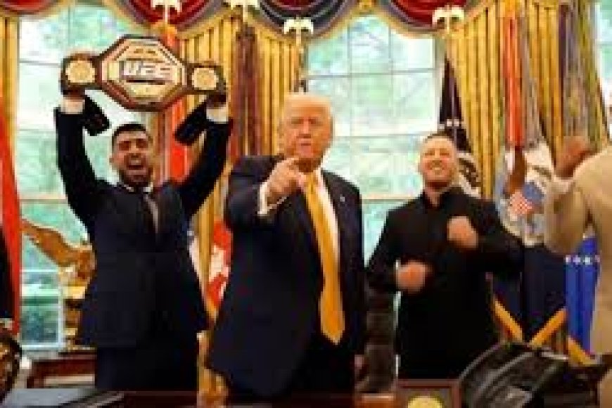 Trump turns 80, hosts UFC fight night at White House