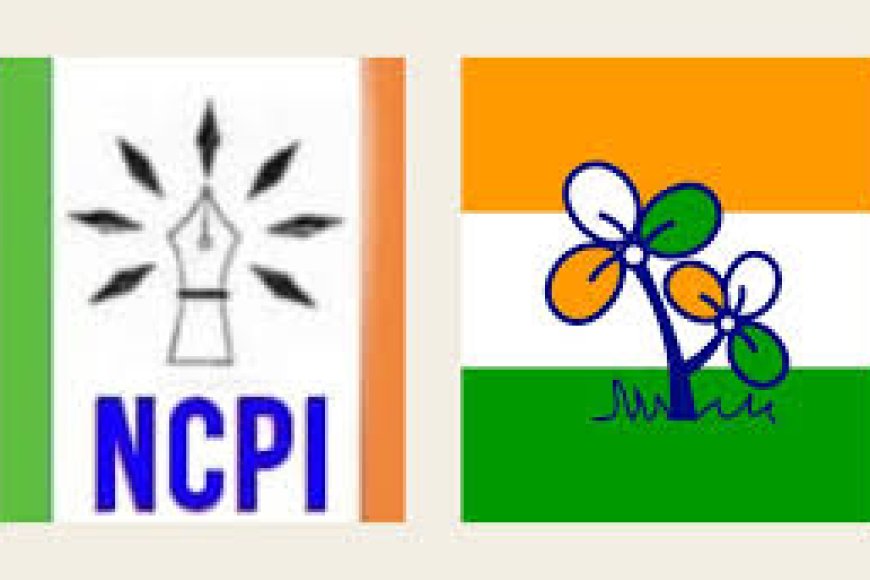 NCPI names new chief after TMC merger, party gen secy has no idea.jpg
