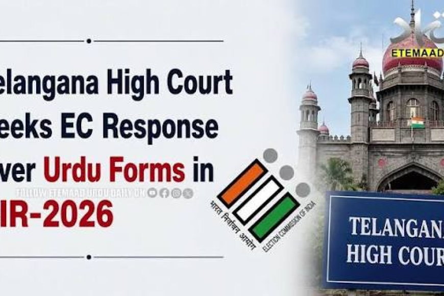 Telangana HC refuses interim relief on plea challenging Telugu-only SIR forms; says EC to consider Urdu forms