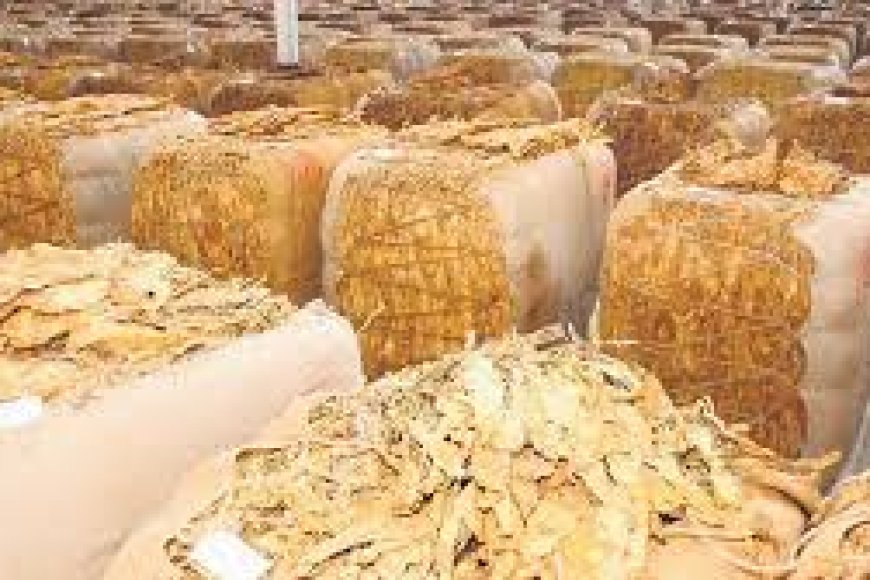 Centre, Andhra Pradesh weigh relief package for tobacco farmers