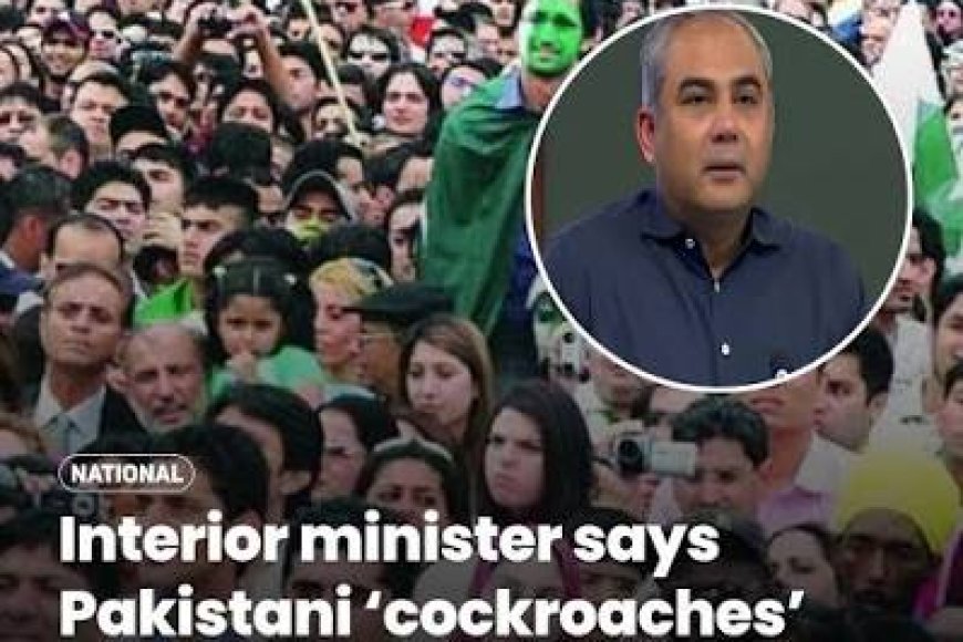 "If Cockroaches Unite...": Pakistan Minister Warns Youth Could Spark Major Movement