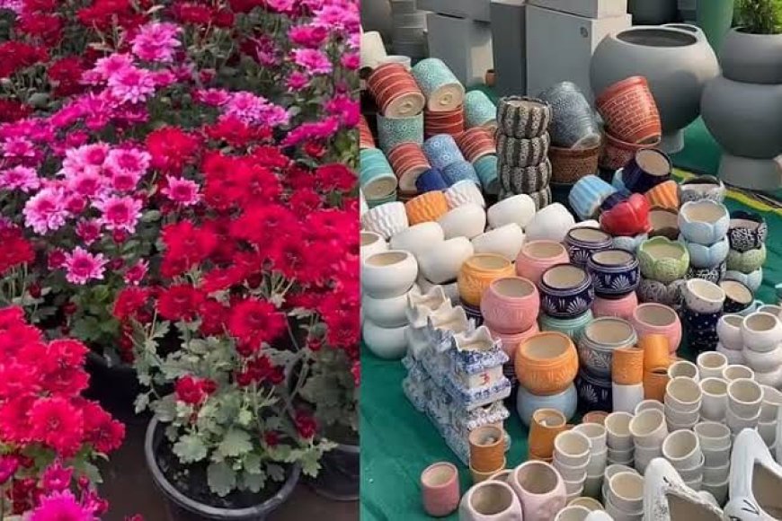 Hyderabad’s most beautiful exhibition is returning from July 29