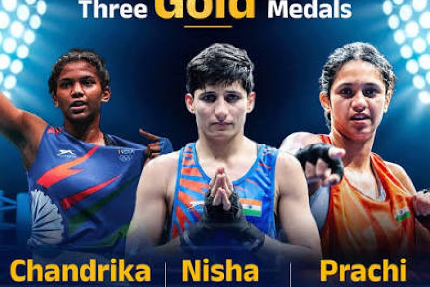 India Win Record 7 Boxing Golds; Medal Rush Sees Tally Touch 