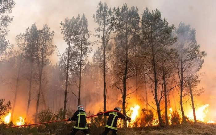 Firefighters battle a massive Belgian wildfire that forced hundreds to evacuate