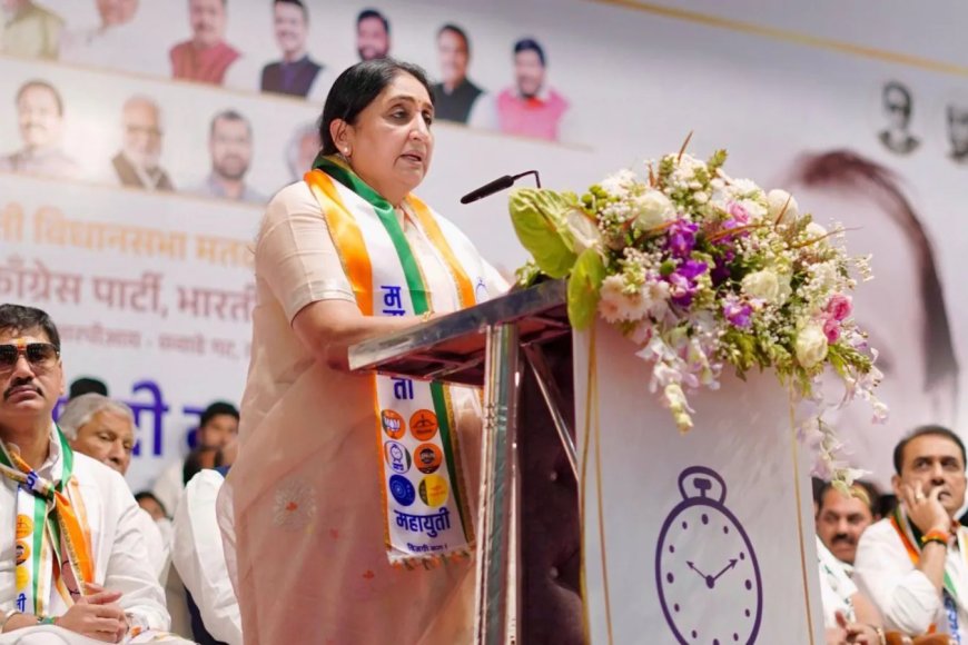 "Submit Papers": Poll Body To Sunetra Pawar Over Changing Party Constitution