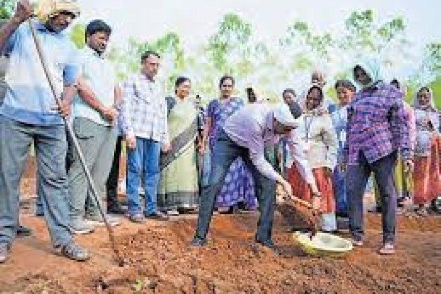 Jaladhara project brings fallow land under cultivation