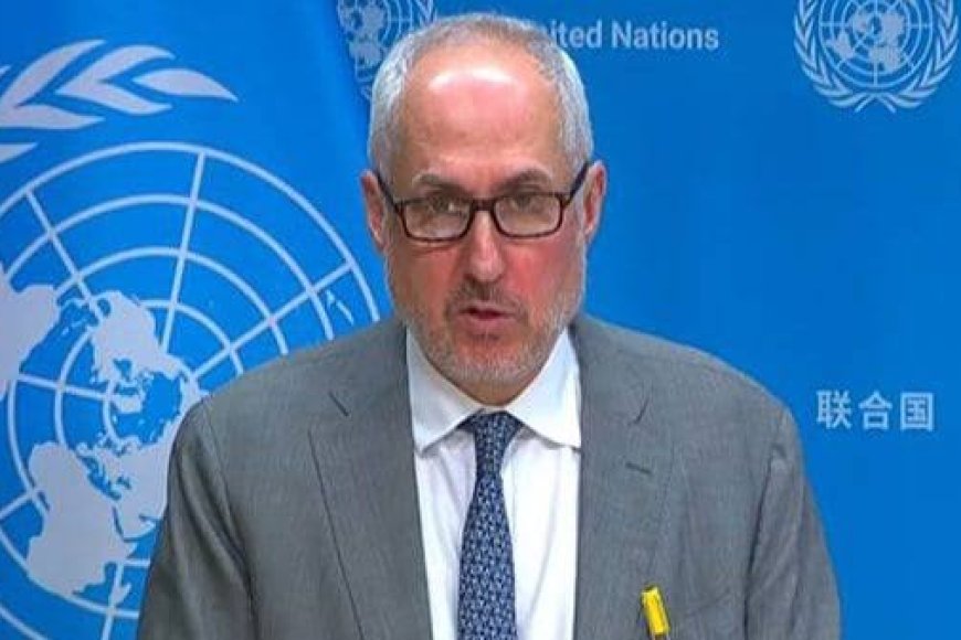 UN weighs in on Delhi agitation, says 'peaceful protest' should be allowed without any 'fear'