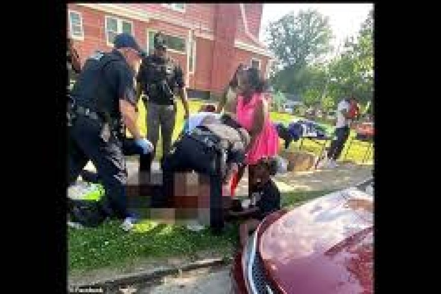 At Least 12 People Shot At US Community Festival, Search For Suspects Underway