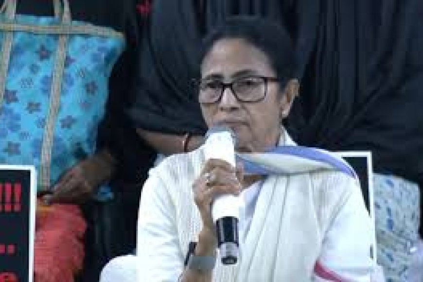 "Can Send Her To Assembly": Expelled Leader's 'Offer' For Mamata Banerjee
