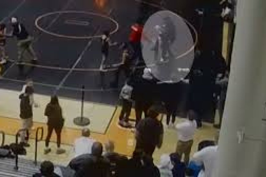 Wrestling referee turns son's 'coach' during bout, gets show-cause notice