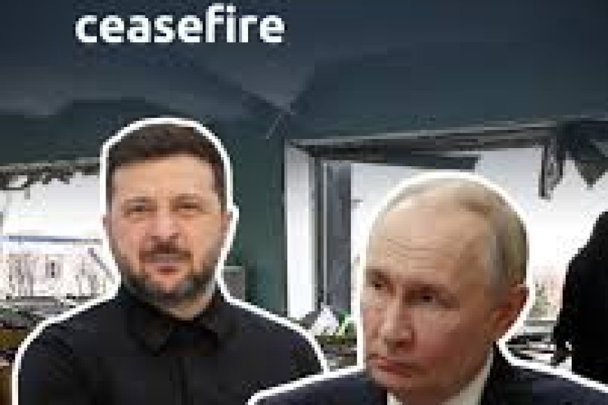 If Zelenskyy is 'ready to speak'....: Russia on settling Ukraine war