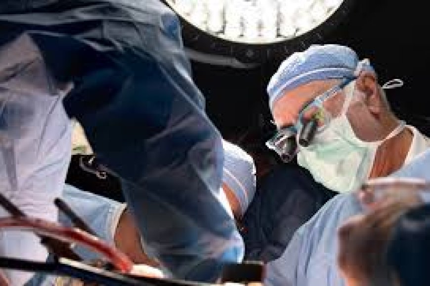 Donors must be informed of law on organ transplants: Centre to states