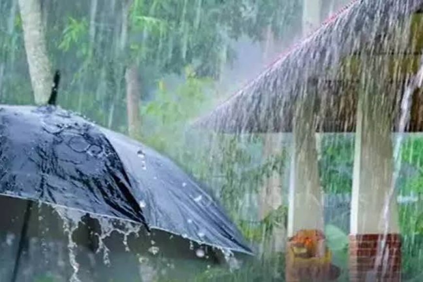 Low-pressure likely to bring rain across Andhra Pradesh