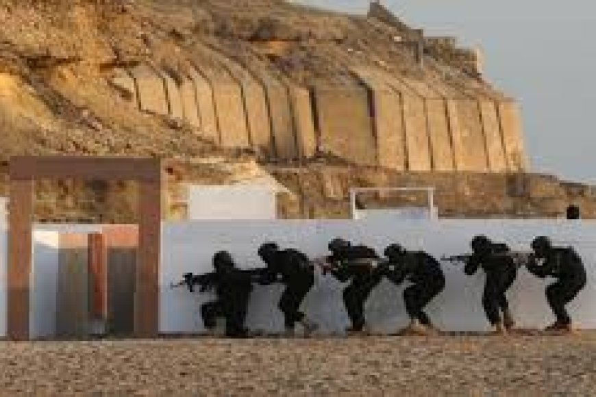 Pakistan's Major Anti-Terror Operation Kills 27 Militants