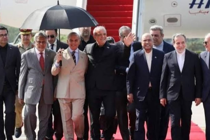 Iran President Left In The Sun? Shehbaz Sharif's 'Umbrella Moment' Goes Viral
