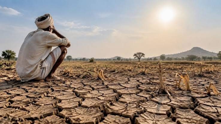 Karnataka drought list to cross 200 taluks; losses touch Rs 18,000 cr
