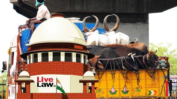 Transporting cattle without documents cannot be presumed for slaughter: SC