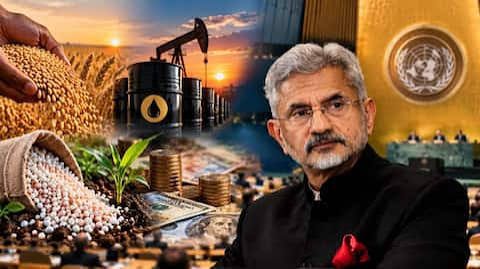 What is the '4F crisis'? Jaishankar's warning on food, fuel and your money